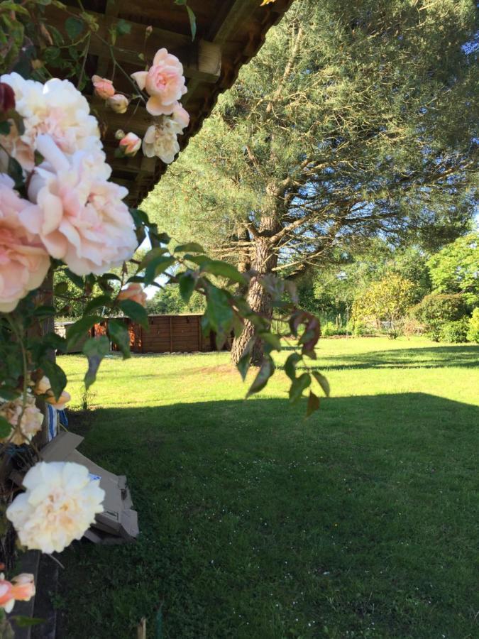 Au Mas Retz De Jade Bed and Breakfast Chauvé Εξωτερικό φωτογραφία