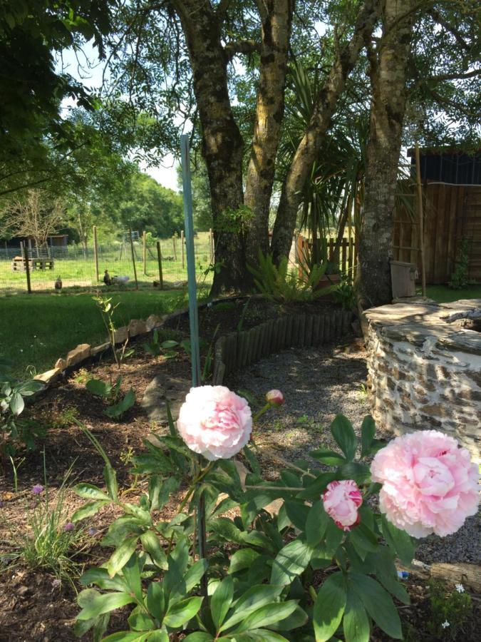 Au Mas Retz De Jade Bed and Breakfast Chauvé Εξωτερικό φωτογραφία